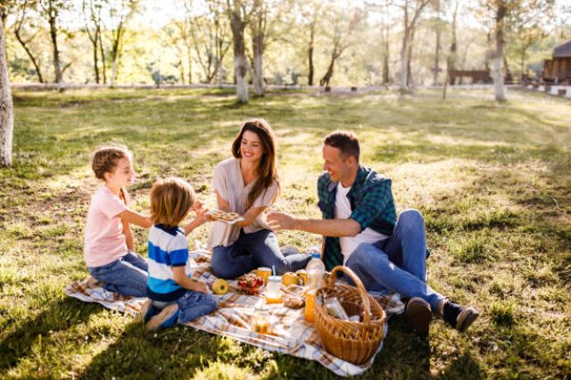 istockphoto-1230073951-612x612 (1)